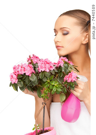 lovely housewife with flowers lovely housewife with flowers 7440589