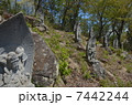 三十三観音石仏(信濃長谷寺) 7442244