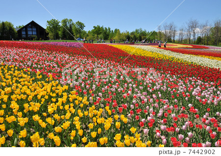 滝野すずらん公園 滝野すずらん公園 7442902