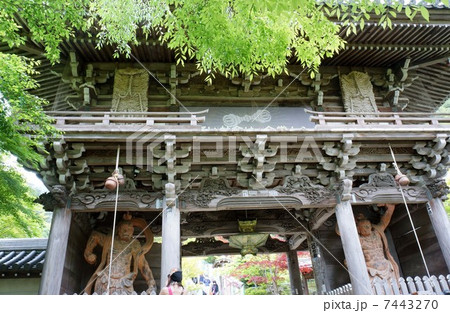 大聖院の仁王門 大聖院の仁王門 7443270