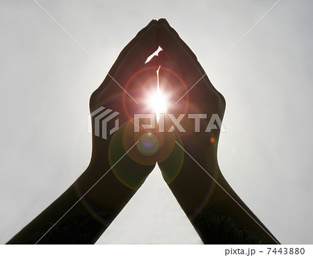 太陽と子供の手 太陽と子供の手 7443880