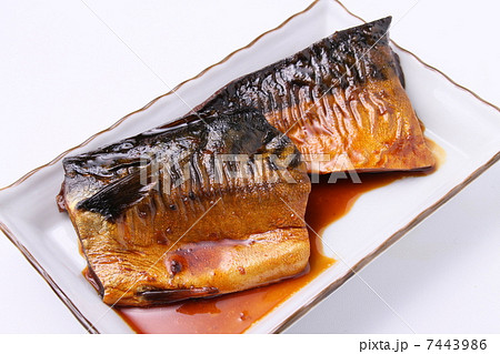 鯖の煮付け 7443986