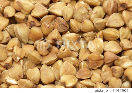 Buckwheat 7444902