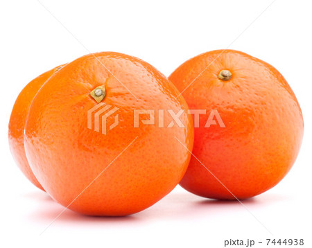 tangerine or mandarin fruit tangerine or mandarin fruit 7444938