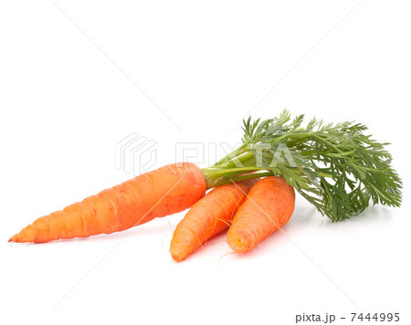 Carrot vegetable with leaves Carrot vegetable with leaves 7444995