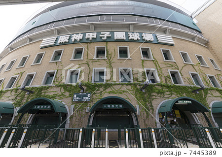 阪神甲子園球場 7445389