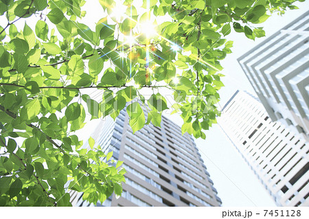 新緑とマンション 新緑とマンション 7451128