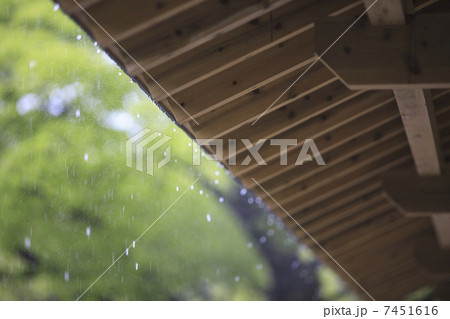 雨宿り 7451616