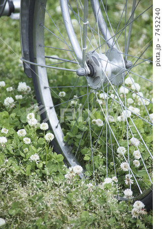 シロツメ草と自転車 7452240