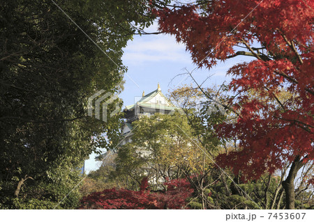 大阪城の秋風景 7453607