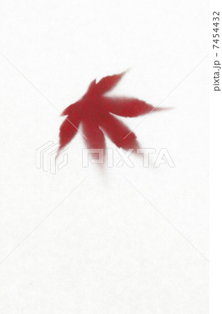 モミジの葉 モミジの葉 7454432