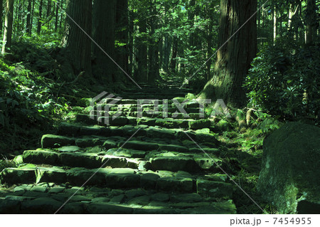 熊野古道、大門坂 7454955