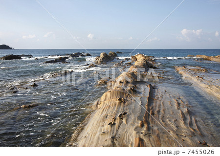 竜串海岸 7455026