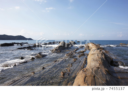 竜串海岸 7455137