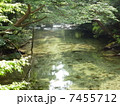 屋久島の川 屋久島の川 7455712