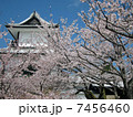金沢城石川門と桜 7456460
