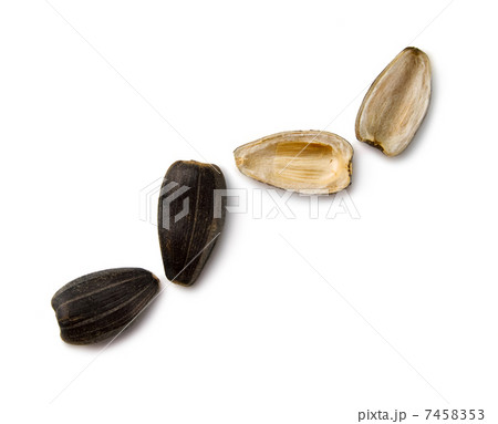 Sunflower seeds Sunflower seeds 7458353