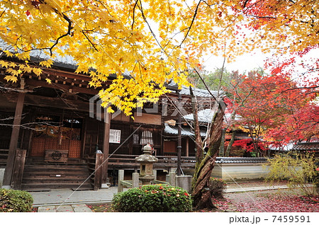 京都 勝持寺の紅葉 京都 勝持寺の紅葉 7459591