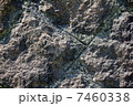 岩肌 7460338