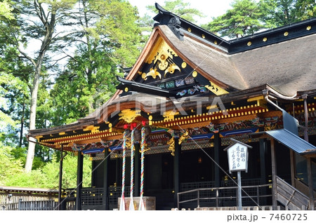 大崎八幡宮 7460725