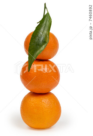 tangerines with leaves in stack 7460892