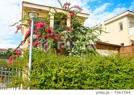 House House 7461564