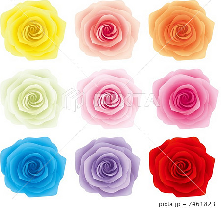 バラ 9色のイラスト素材 [7461823] - PIXTA