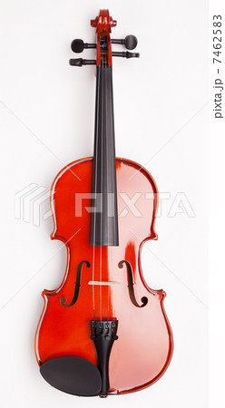 Violin 7462583