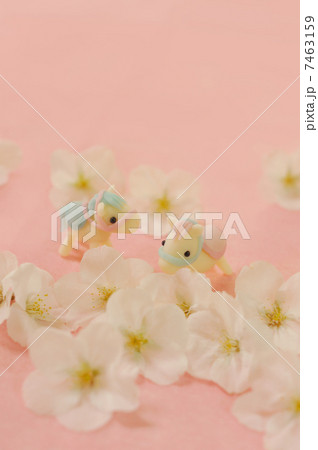 粘土細工の馬 7463159