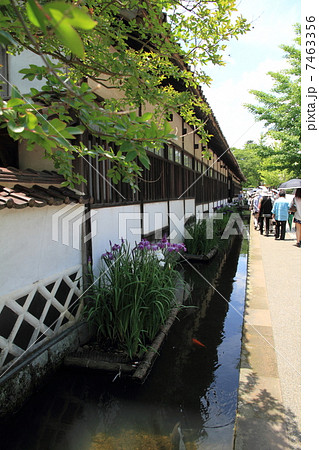 山陰の小京都 津和野町 山陰の小京都 津和野町 7463356