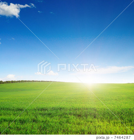 Dawn in the field 7464287