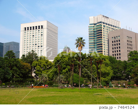 日比谷公園 7464524