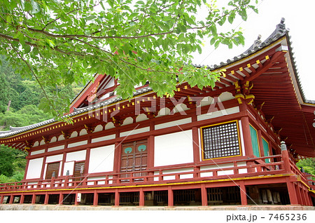 矢田寺 矢田寺 7465236