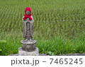地蔵と水田 7465245