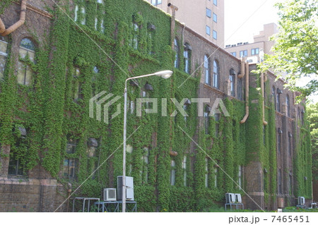 北海道大学　理学部 7465451