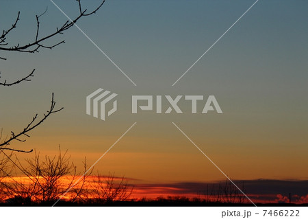 元旦の夕暮れ 元旦の夕暮れ 7466222