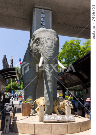 多摩動物公園　入口 7466751