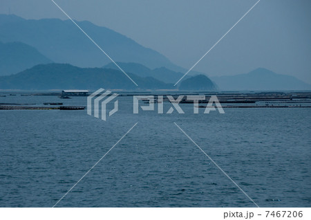 瀬戸内海　カキの養殖 7467206