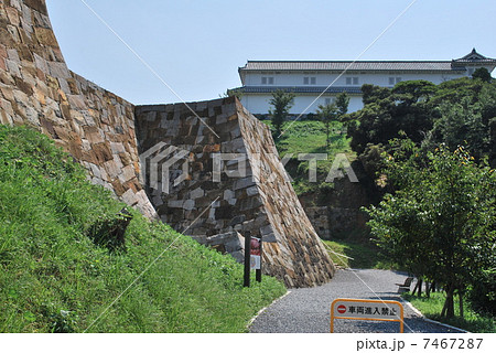 富岡城跡 7467287