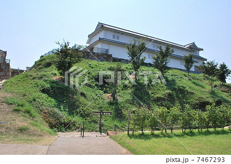 富岡城跡 7467293