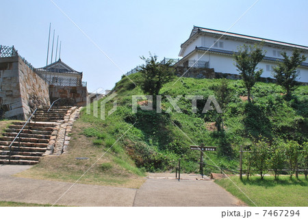 富岡城跡 7467294