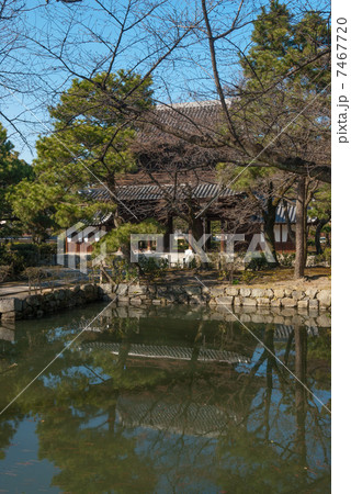 建仁寺　放生池 7467720