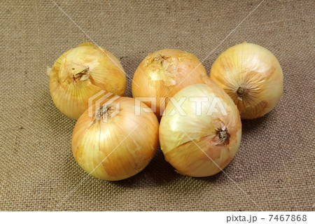 春の味覚・新玉ねぎ５個・麻布バック横位置 7467868