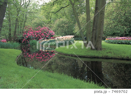 Nature scene Nature scene 7469702