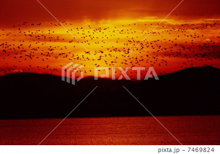 Attractive nature scene Attractive nature scene 7469824