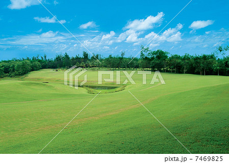 Golf course Golf course 7469825