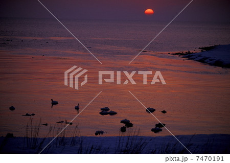 Seascape in sunset Seascape in sunset 7470191