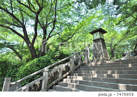 飛鳥山公園 7470959