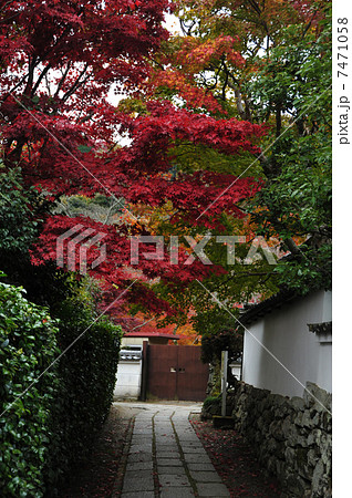 京都　花の寺の秋 7471058
