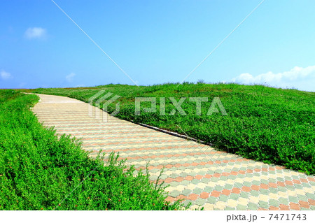 緑に囲まれた歩道 緑に囲まれた歩道 7471743